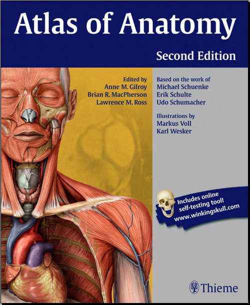 gray atlas of human anatomy pdf free