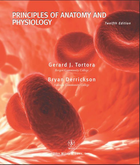 anatomy and physiology tortora pdf