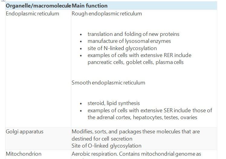 Table Summarises The Main Functions Of The Major Cell Organelles Medbooksvn