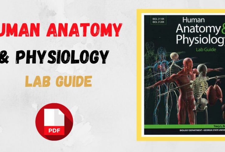 Human Anatomy & Physiology Lab Guide 2020 PDF Archives - MedbooksVN